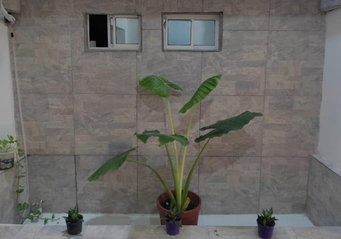 Rivera Hostel سانتا مارتا المظهر الخارجي الصورة